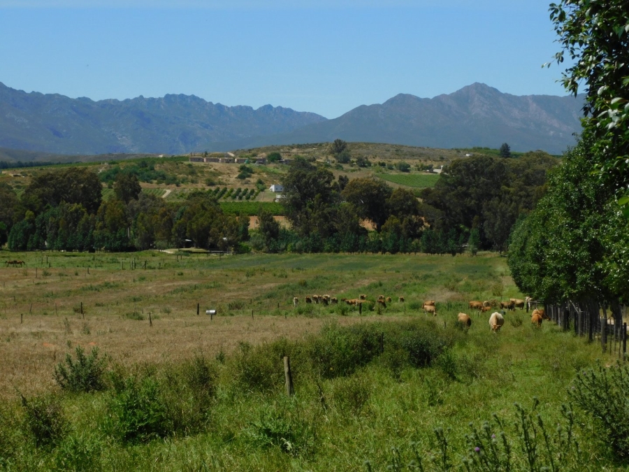 3 Bedroom Property for Sale in Bonnievale Western Cape